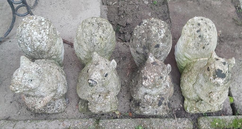 Beeld beelden betonnen eekhoorns decoratie, Ophalen