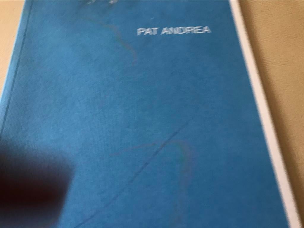 Pat Andrea dessins peintures 50 pag, Enlèvement ou Envoi, Comme neuf, Peinture et dessin