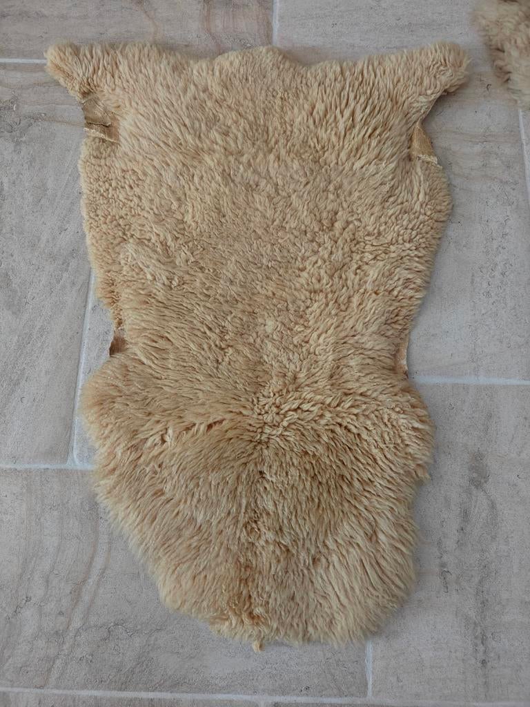 Peau de mouton, Enlèvement