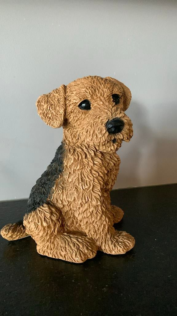 Originele Castagna hond, Ophalen, Nieuw