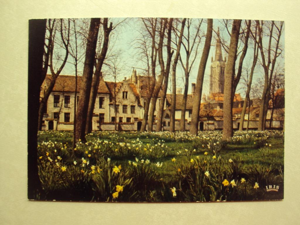 47669 - BRUGGE - DE BRUGSE WIJNGAARD, Verzenden