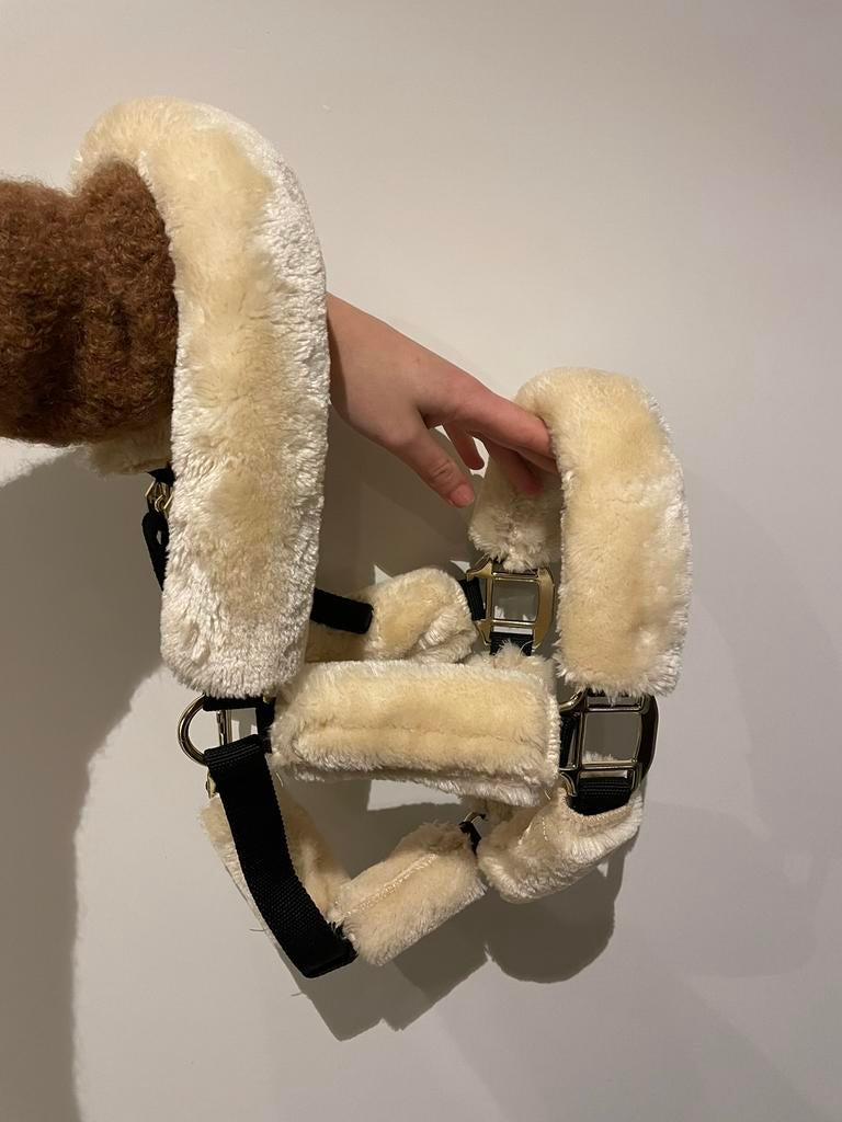 Halster+bontjes, Dieren en Toebehoren, Ophalen