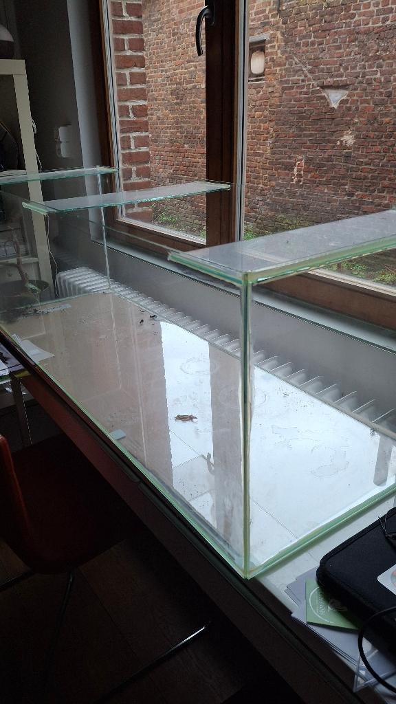 Grote glazen bak voor hamster, terrarium, planten,..., Niche, Moins de 60 cm, Enlèvement, Utilisé