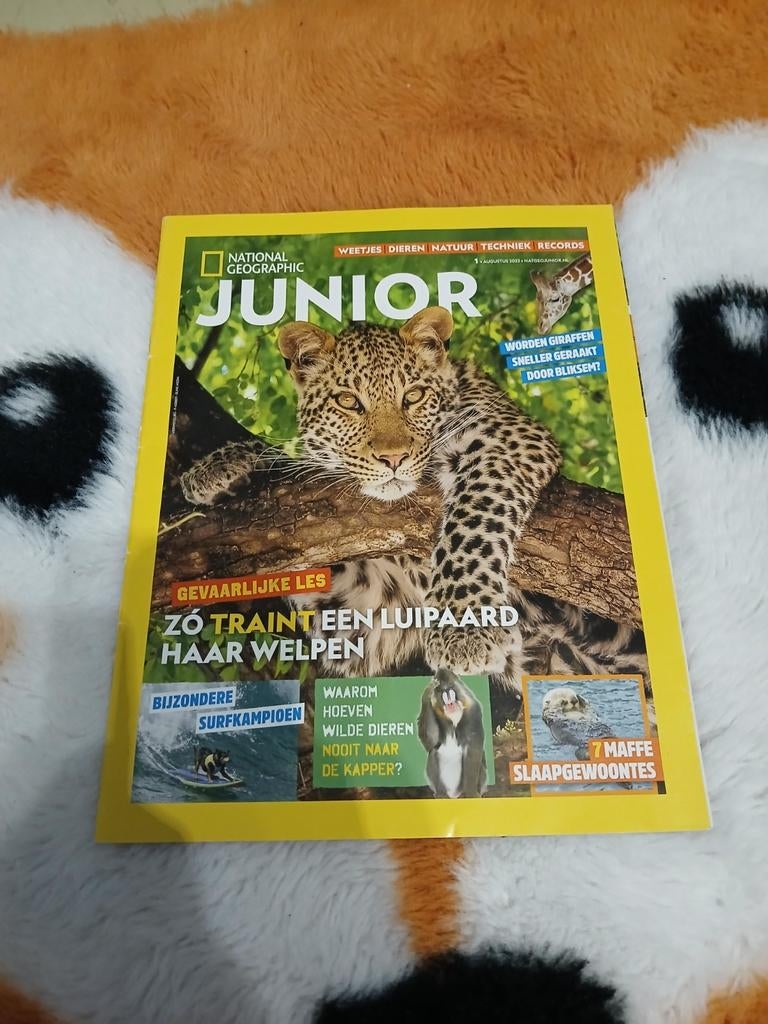 JUNIOR(national geographic), Boeken, Tijdschriften en Kranten, Zo goed als nieuw, Overige typen, Ophalen of Verzenden
