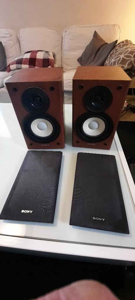 Baffle sony, Enlèvement, Sony