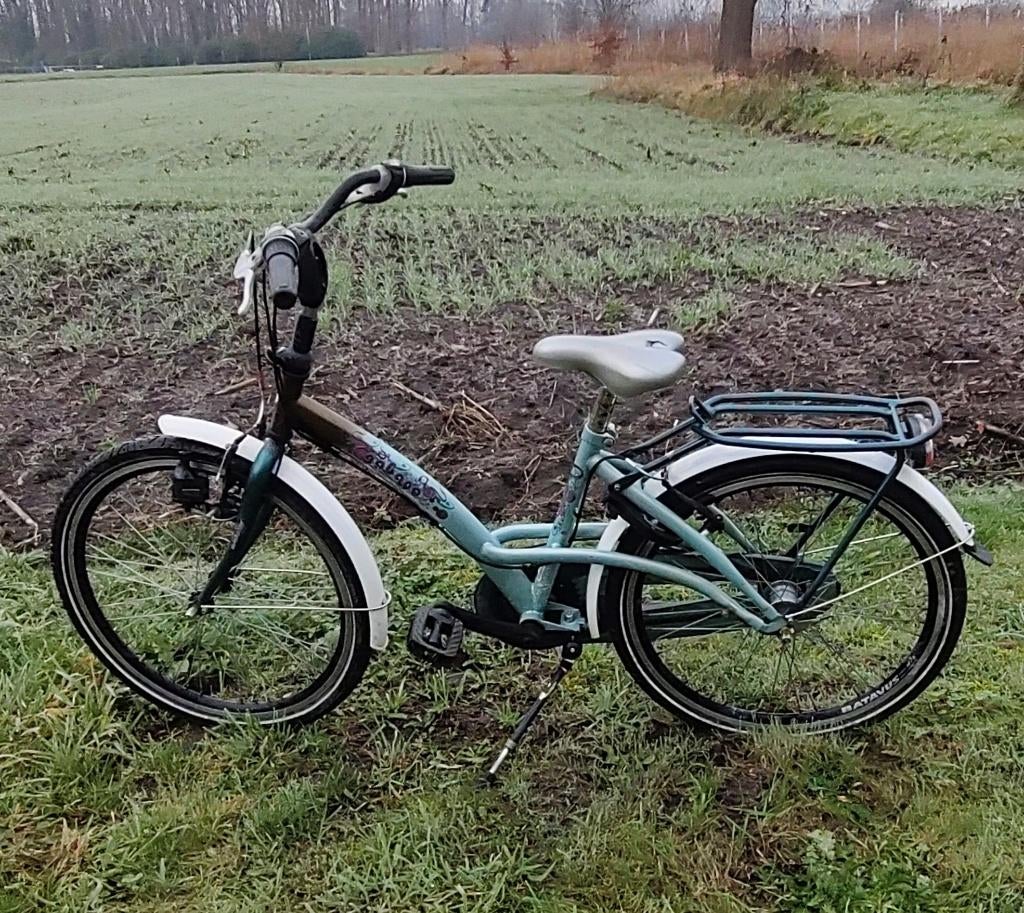 kinderfiets batavus, Ophalen, Gebruikt, Batavus