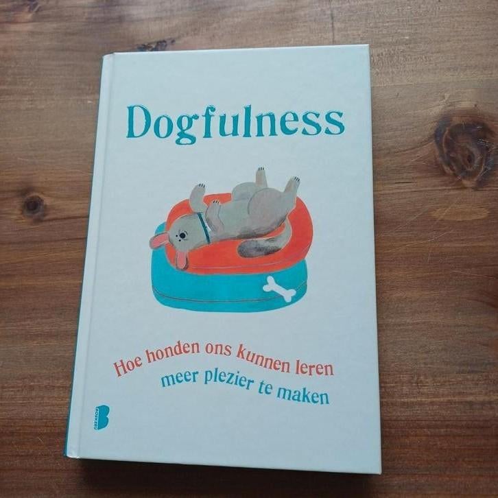Paolo Valentino - Dogfulness, Ophalen of Verzenden, Nieuw, Paolo Valentino