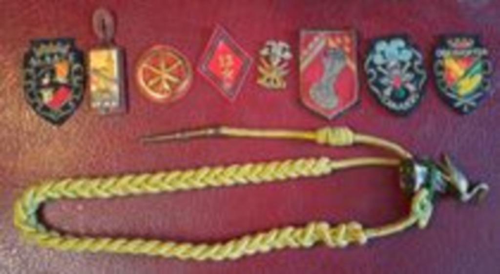 Insignes militaire, Enlèvement, Armée de terre