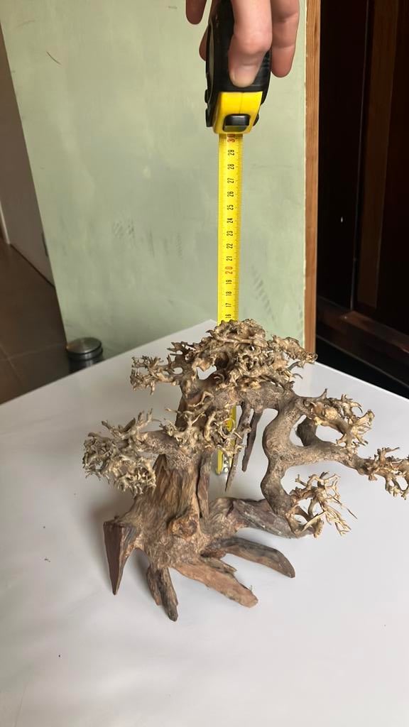 Bonzai aquarium, Dieren en Toebehoren, Vissen | Aquaria en Toebehoren, Ophalen, Nieuw, Plant(en), Steen of Hout