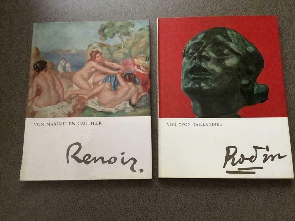 RODIN + RENOIR, Ophalen of Verzenden, Zo goed als nieuw