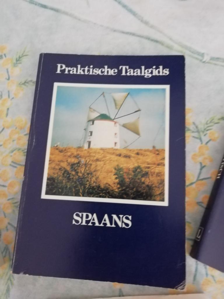 vertaling woordenboek, Boeken, Woordenboeken, Spaans, Overige uitgevers, Ophalen of Verzenden, Zo goed als nieuw