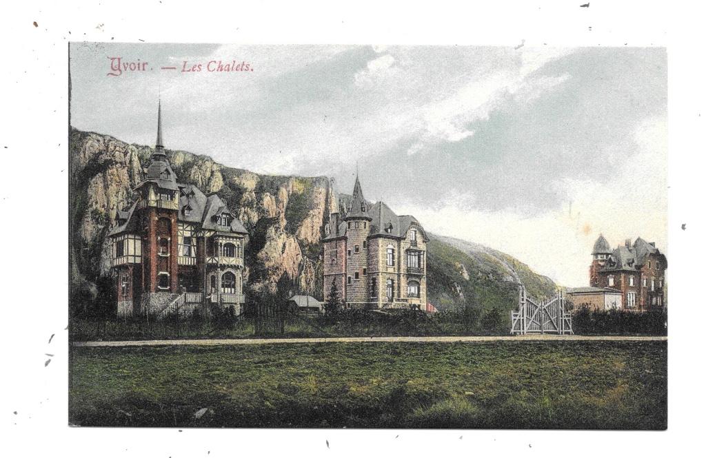 Yvoir NA25: Les Chalets, Collections, Envoi, Avant 1920, Non affranchie, Namur