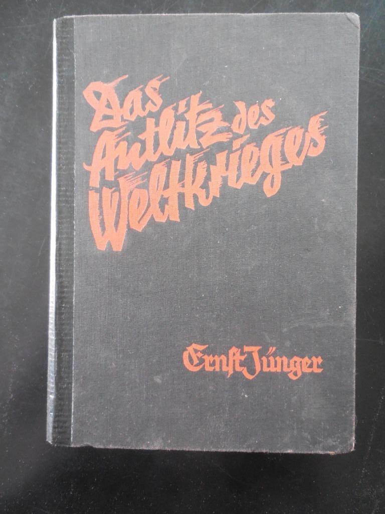 Das Antlitz des Weltkrieges, Livres, Guerre & Militaire, Enlèvement ou Envoi