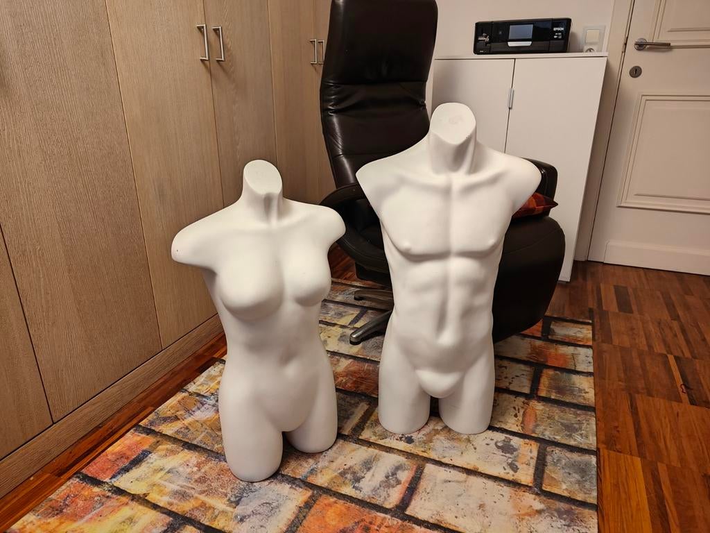 Buste de mannequin, Enlèvement