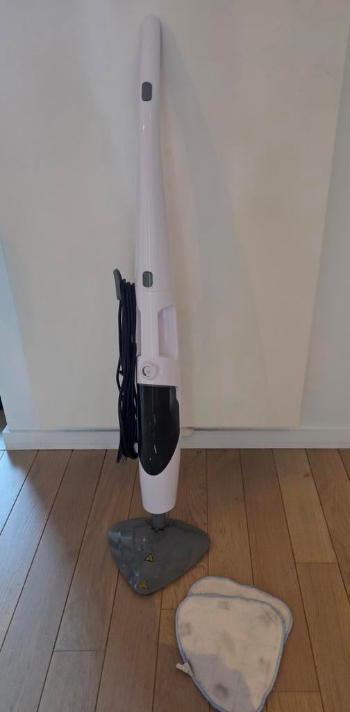 Nettoyeur à vapeur pour sols et tapis Quigg, Enlèvement, Nettoyeur à vapeur