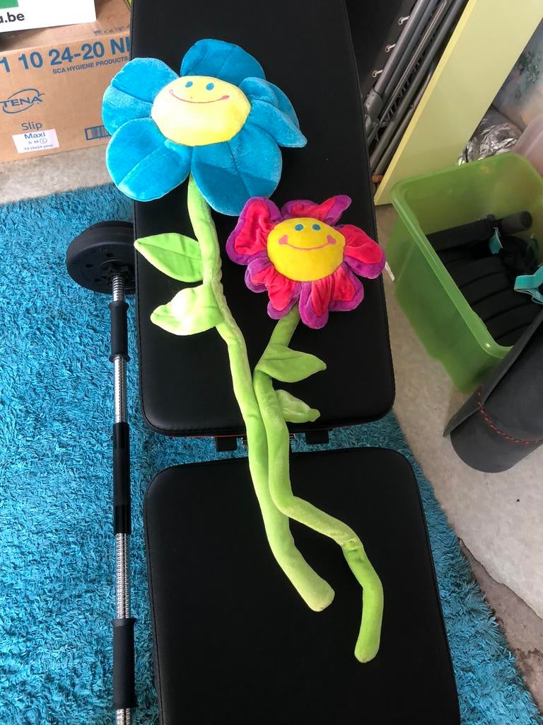 Twee knuffelige bloemen, Ophalen of Verzenden, Gebruikt, Overige typen