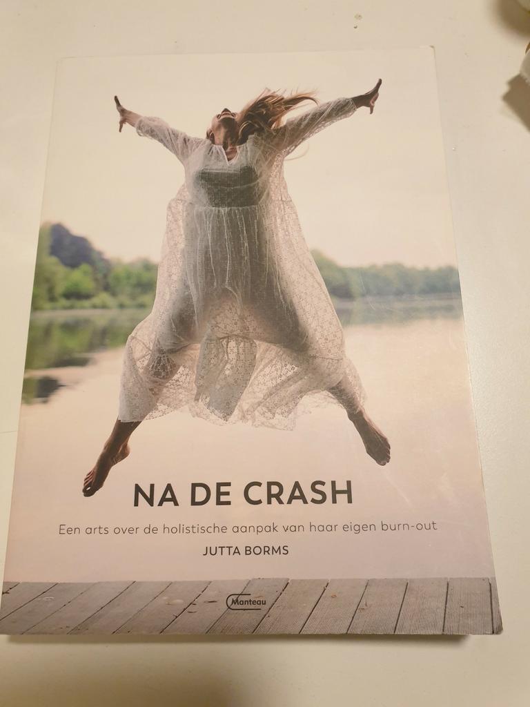 Jutta Borms - Na de crash. HOLISTISCHE AANPAK NA BURN-OUT, Boeken, Ophalen of Verzenden, Gelezen, Jutta Borms