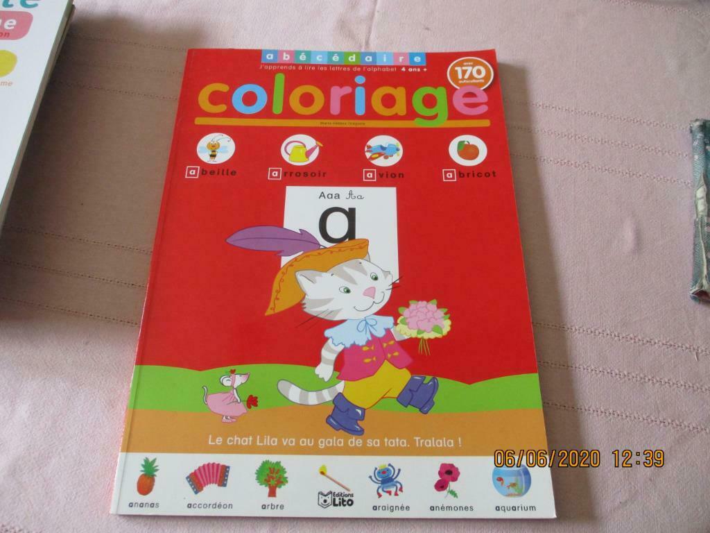 J'APPRENDS A LIRE LES LETTRES DE L'ALPHABET. A PARTIR DE 4 A, Livres, Enlèvement ou Envoi, Neuf, Autres niveaux, Français