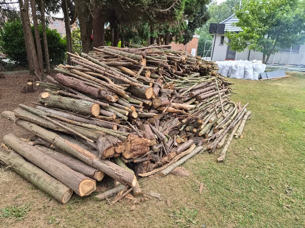 Bois sec à donner sur Fleurus, 3 à 6 m³, Enlèvement, Autres essences de bois, Bûches