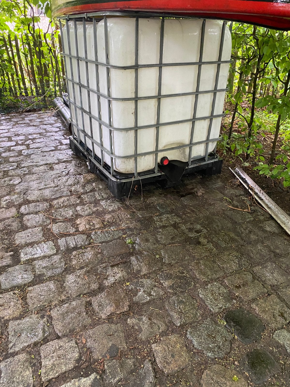 Watervat 1000 l op plastic pallet, 150 litres ou plus, Synthétique, Enlèvement, Utilisé