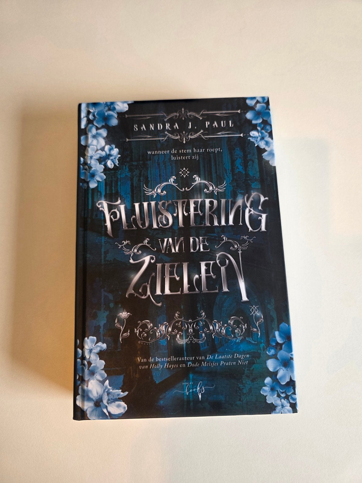 Omkeerbaar boek - Sandra J Paul, Boeken, Fantasy, Ophalen