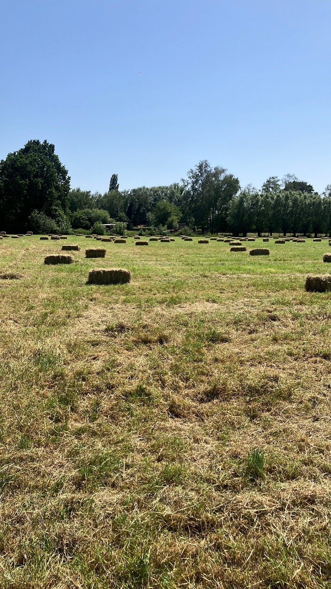 Hooi kleine pakjes, Ophalen