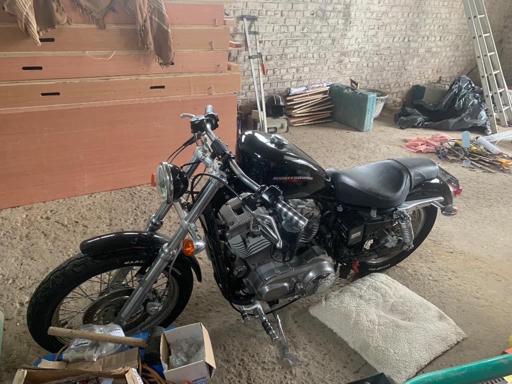 Harley Davidson sportster 883, Particulier