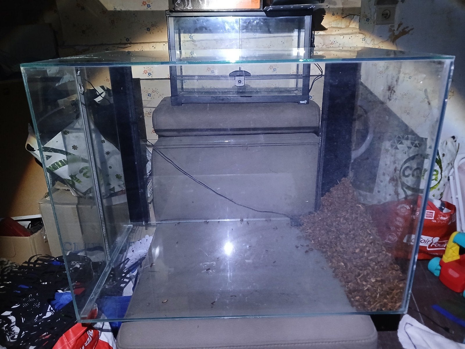 terrarium, Enlèvement, Utilisé, Terrarium ou Paludarium