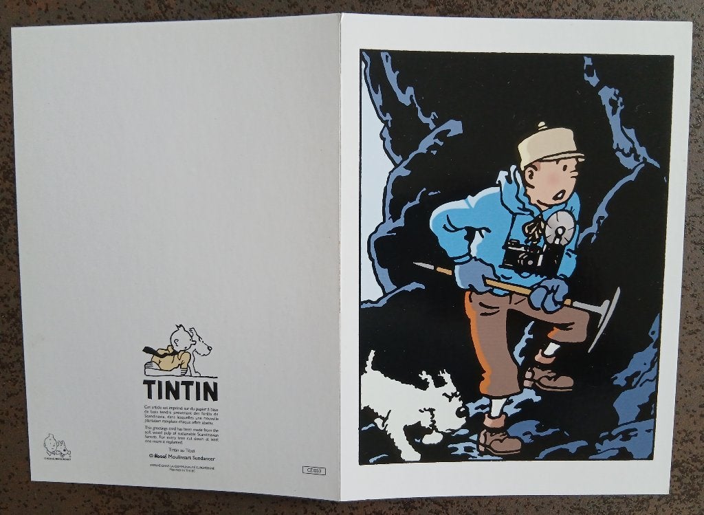 Carte double Tintin, Enlèvement