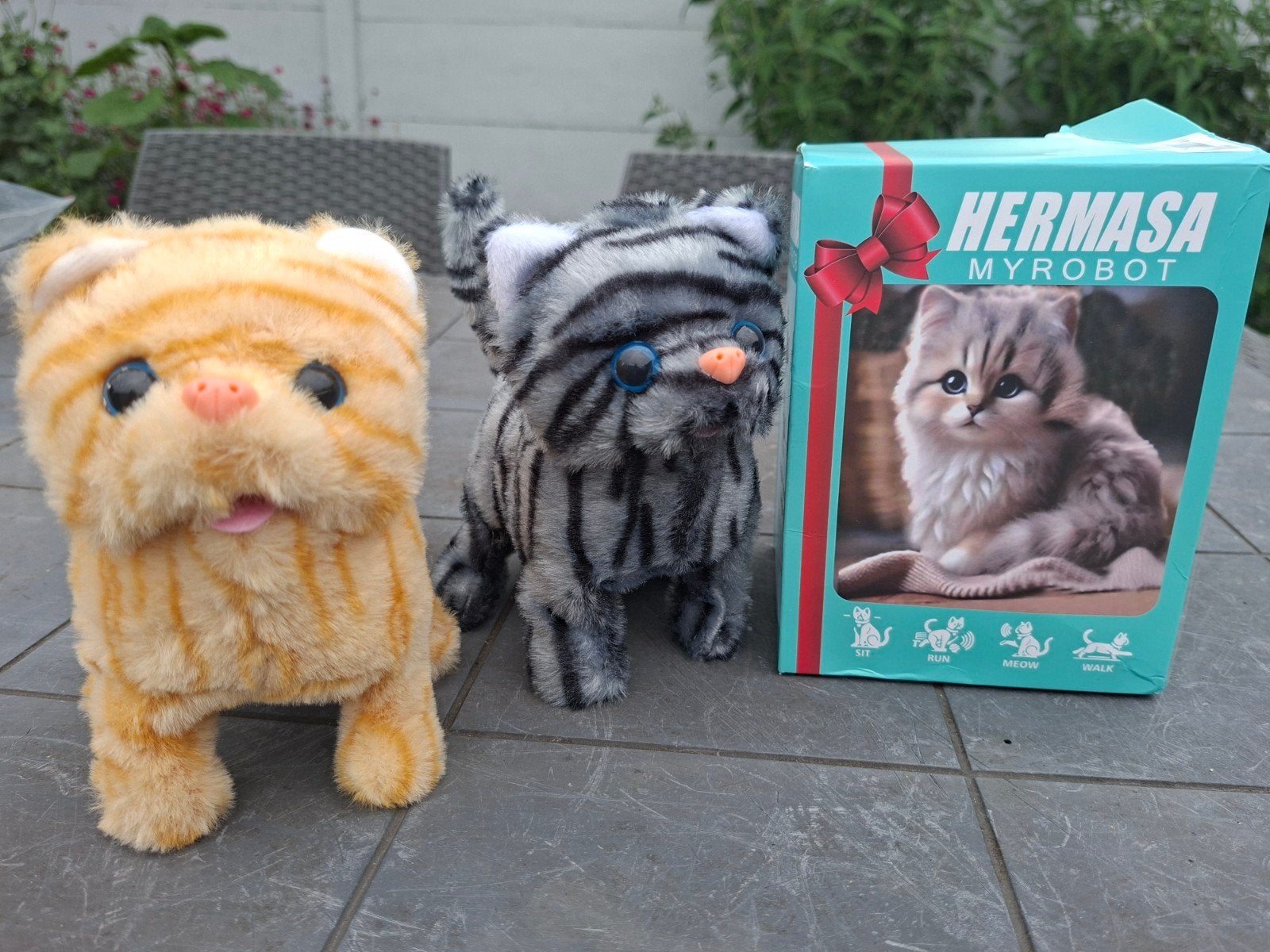 2 jeunes chatons, neufs, Enlèvement