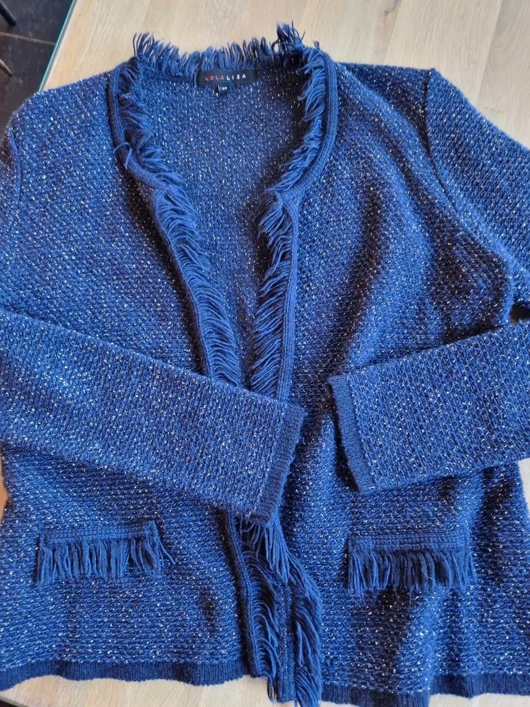 Blauwe gilet met glitter en franjes maat xs merk Lolaliza, Comme neuf, Enlèvement, Taille 34 (XS) ou plus petite, Bleu