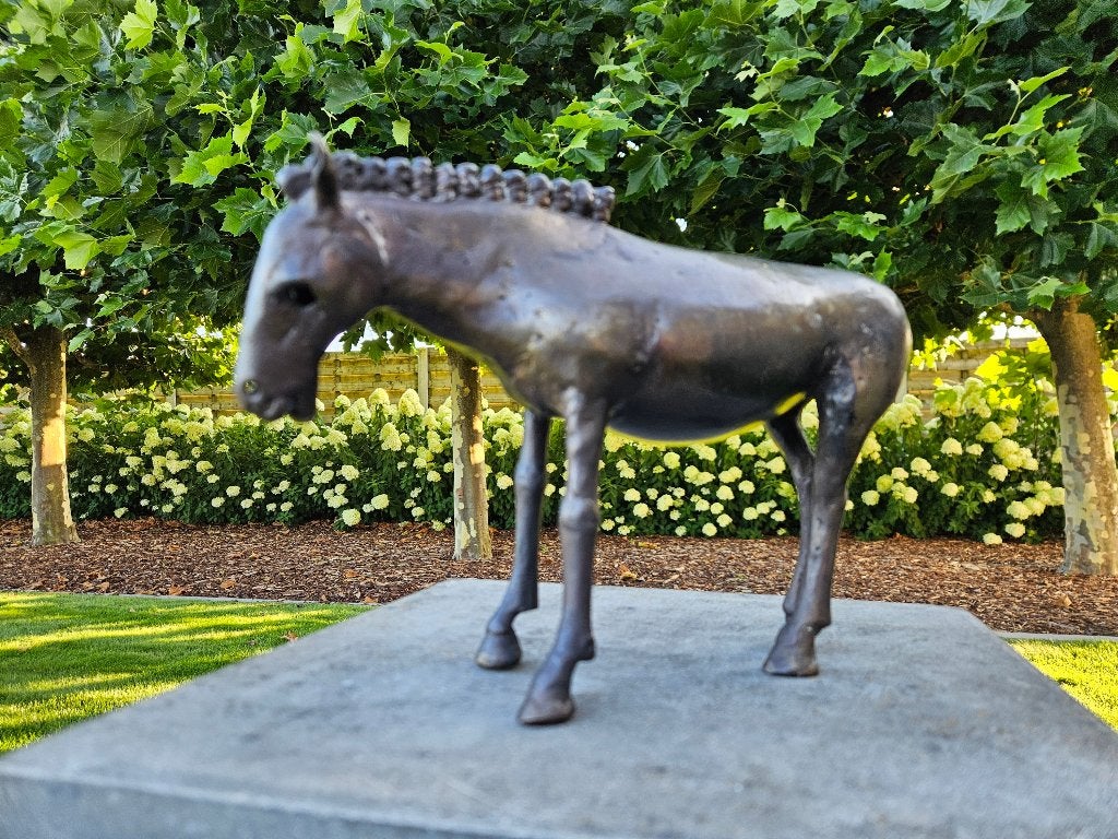Jef Claerhout bronzen paard, ook grote vogels gevraagd aub!, Ophalen, 20 - 50 cm, Brons, Zoogdier