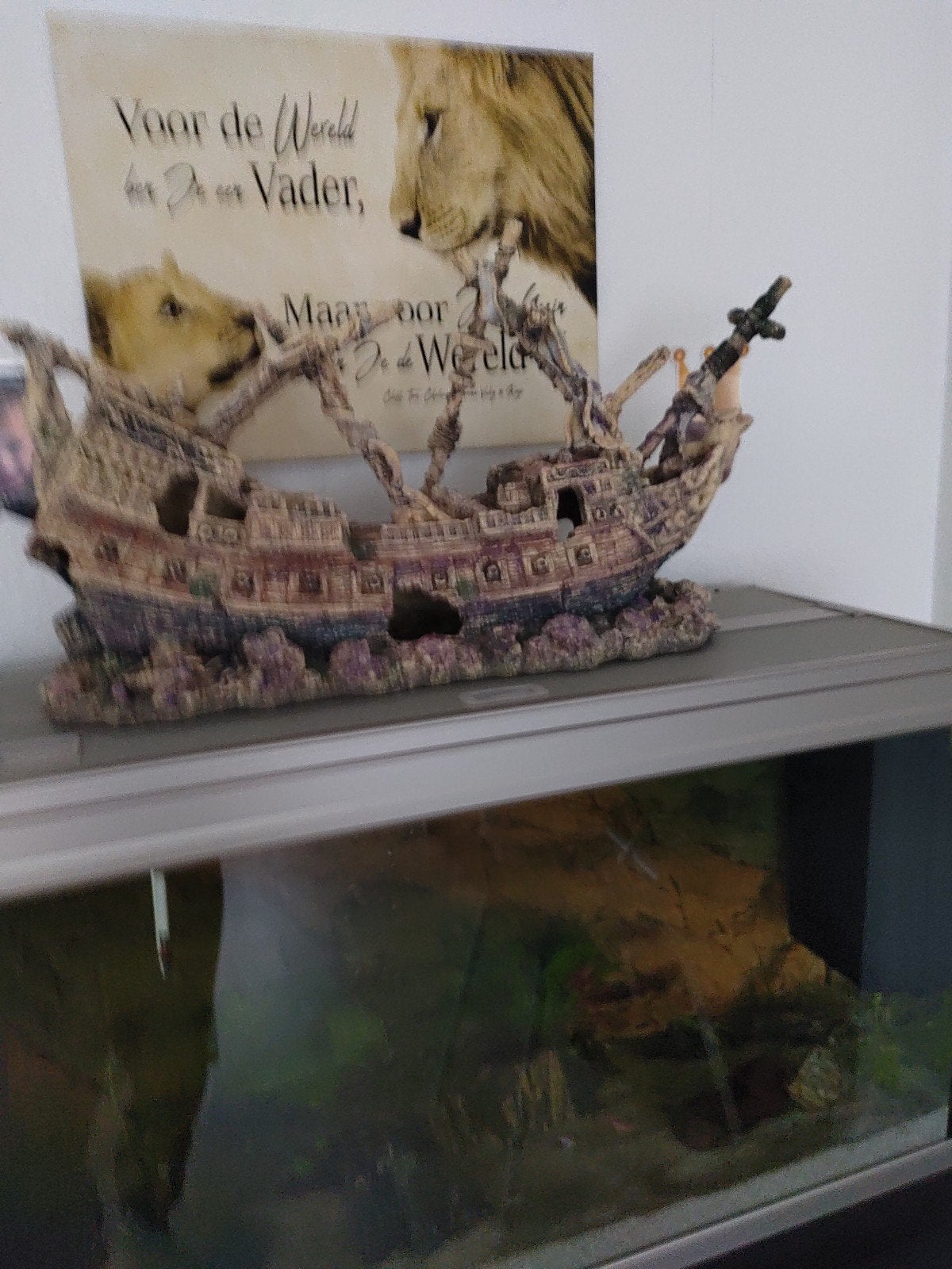 scheepsmodel, Dieren en Toebehoren, Ophalen, Nieuw, Decoratie, Aquael