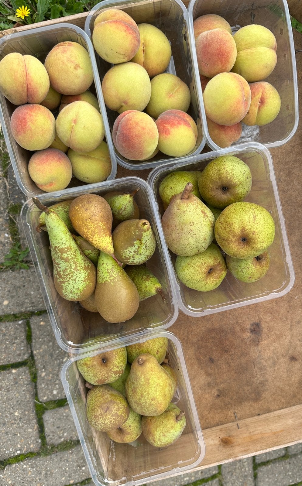 Peren en perzikken te koop, Ophalen