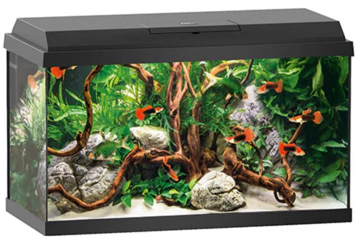 Juwel Primo 70 aquarium, Ophalen, Zo goed als nieuw, Leeg aquarium, Juwel