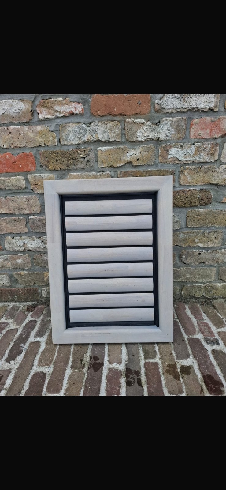 NIEUW hondeluik- tomsgates, Dieren en Toebehoren, Ophalen, Nieuw