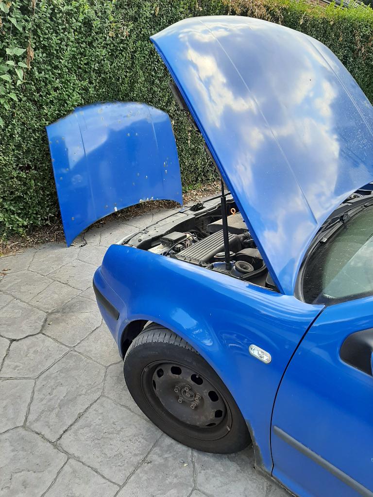 Capot moteur golf 4 ( LW5Z), Enlèvement, Utilisé, Volkswagen, Capot moteur