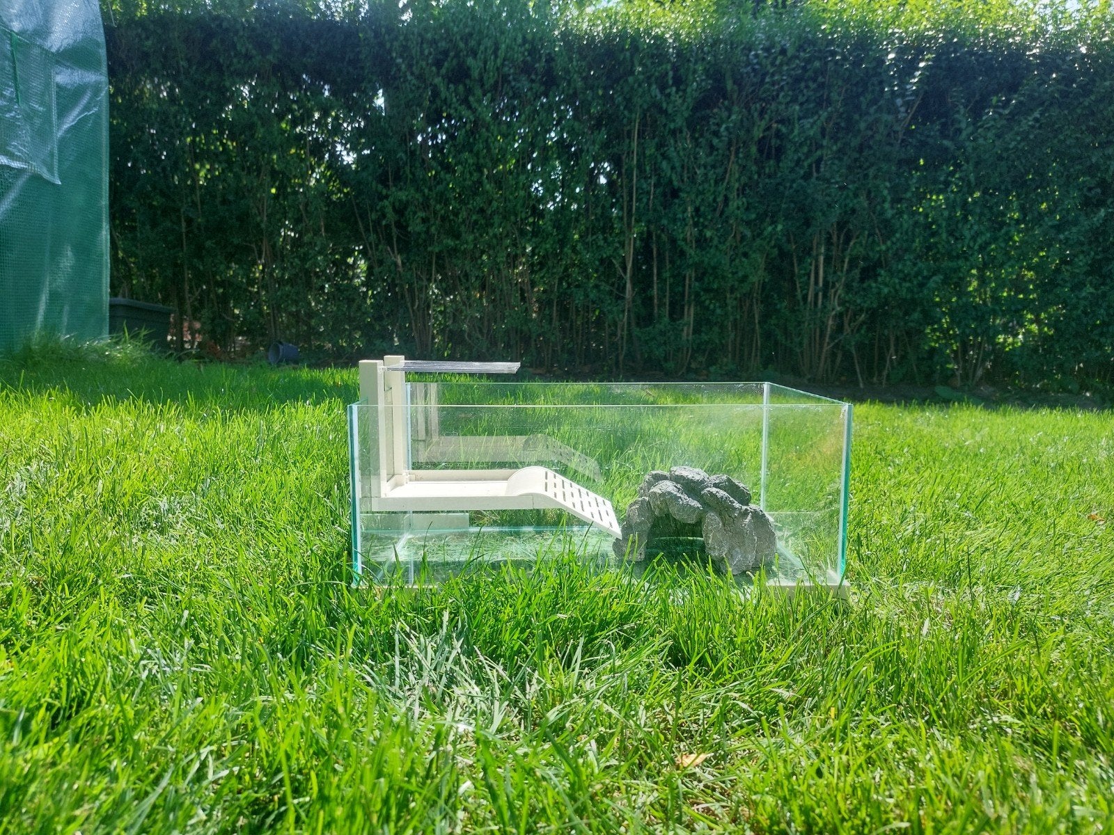 Schildpad aquirium met assecoires, Ophalen, Gebruikt, Terrarium of Paludarium