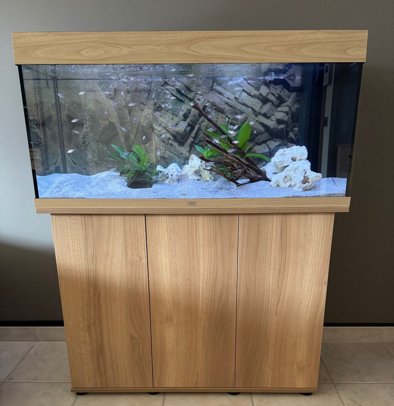 Juwel Rio 180 + Helialux Spectrum Appcontrol + JBL e902, Enlèvement, Comme neuf, Filter, JBL