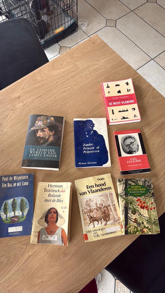 Set oude boekjes, Enlèvement, Comme neuf