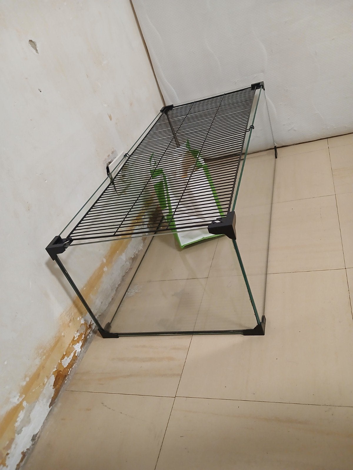 Aquarium pour hamster, Hamster