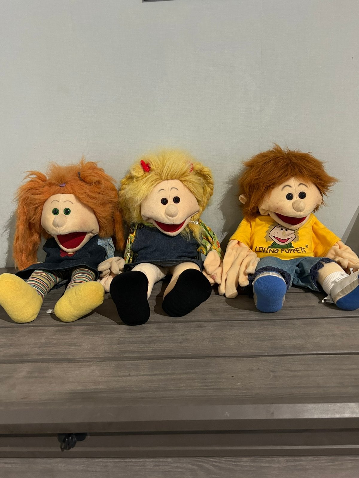 Grote handpoppen, Kinderen en Baby's, Speelgoed | Educatief en Creatief, Ophalen, Zo goed als nieuw