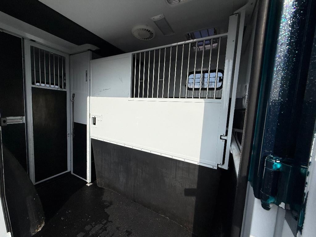 RENAULT | HORSETRUCK | MTM | STALLION 5XL | 2023 | DUB CAB, Enlèvement, Utilisé, Autres matériaux, Autres types