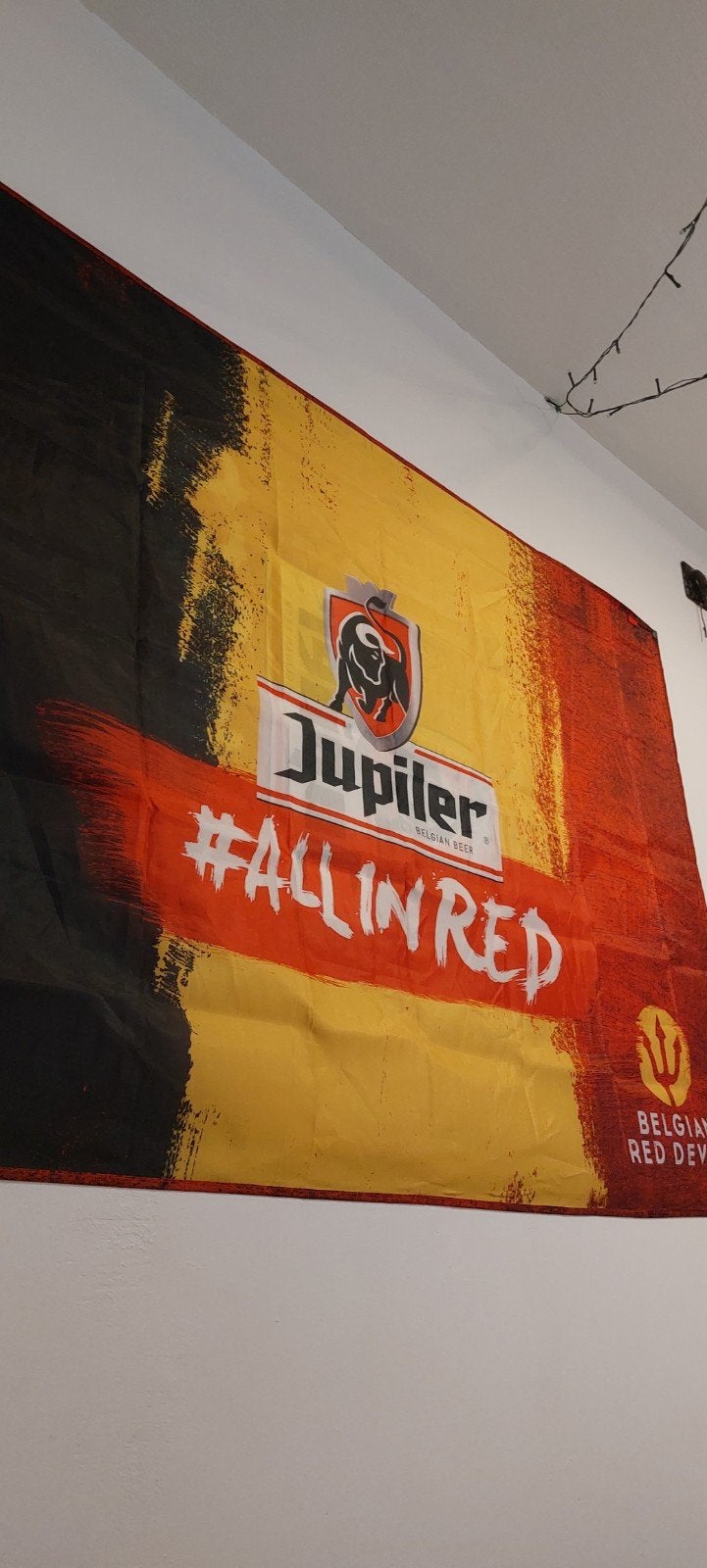 jupiler vlag 4 euro, Eén persoon, Meerdaags