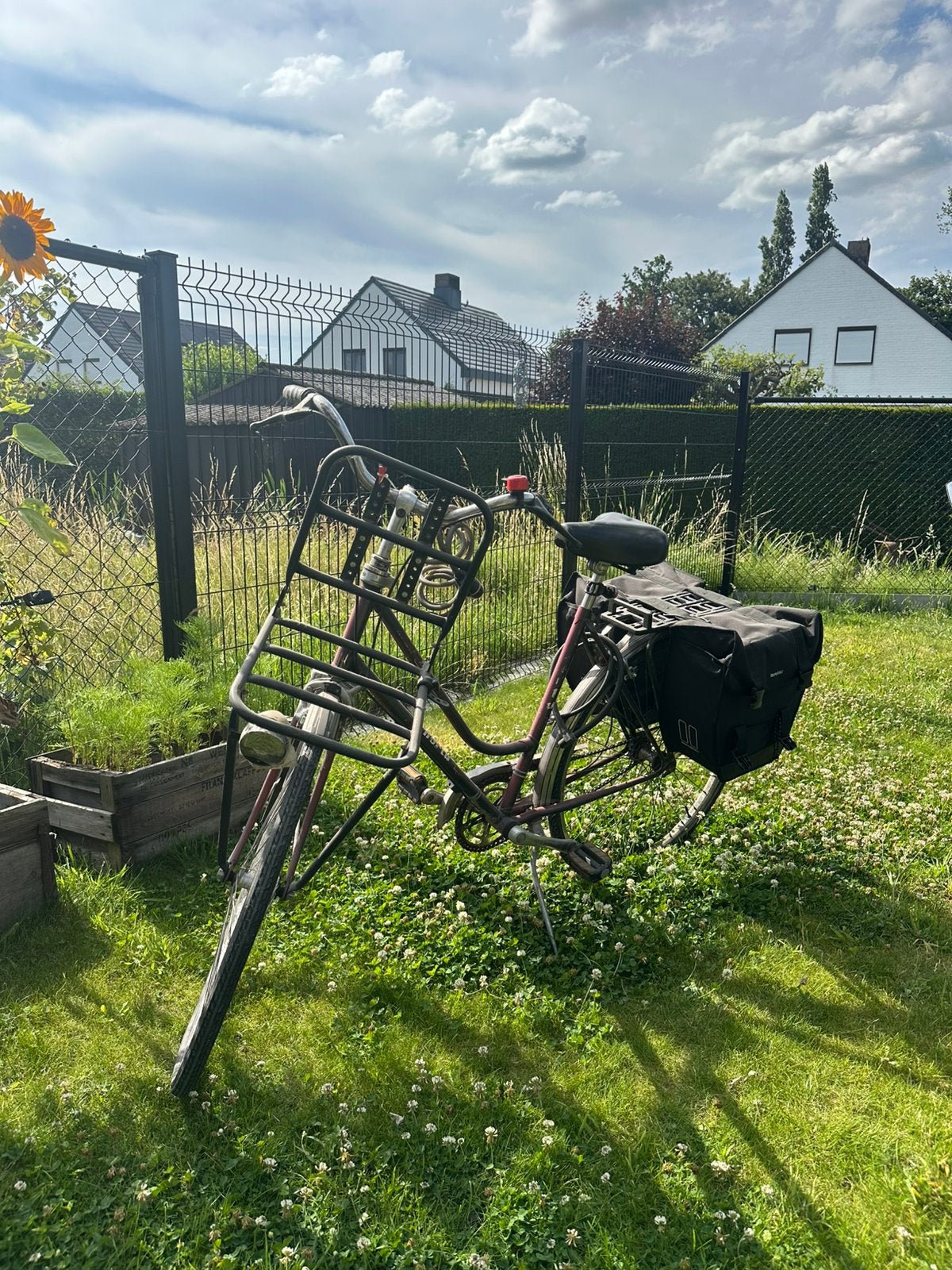 Damesfiets met dubbele Basil fietstassen, Fietsen en Brommers, Gebruikt, Versnellingen, Schijfrem, Ophalen