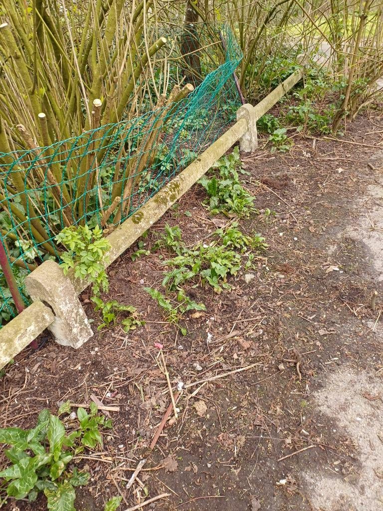 Omheining, Tuin en Terras, Ophalen