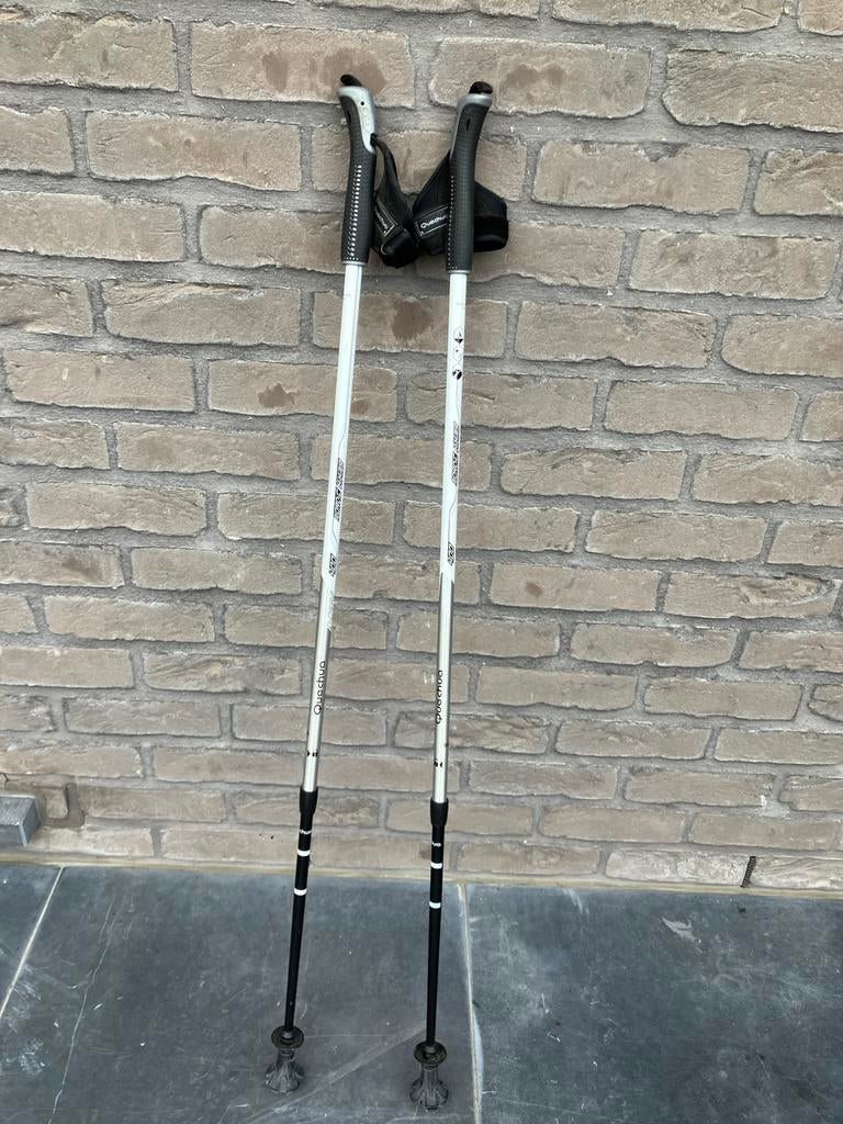 Trekkingstokken, Sport en Fitness, Ophalen, Zo goed als nieuw, Wandelstok