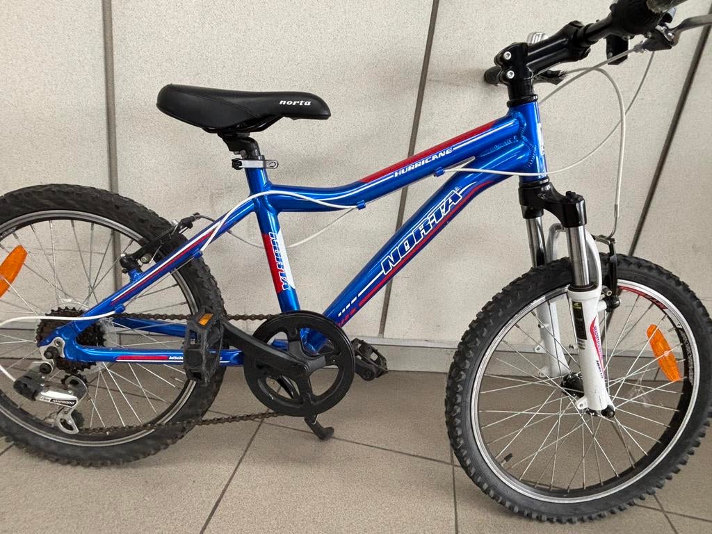 MTB kinderfiets, Fietsen en Brommers, Minder dan 45 cm, Ophalen, Gebruikt, Heren