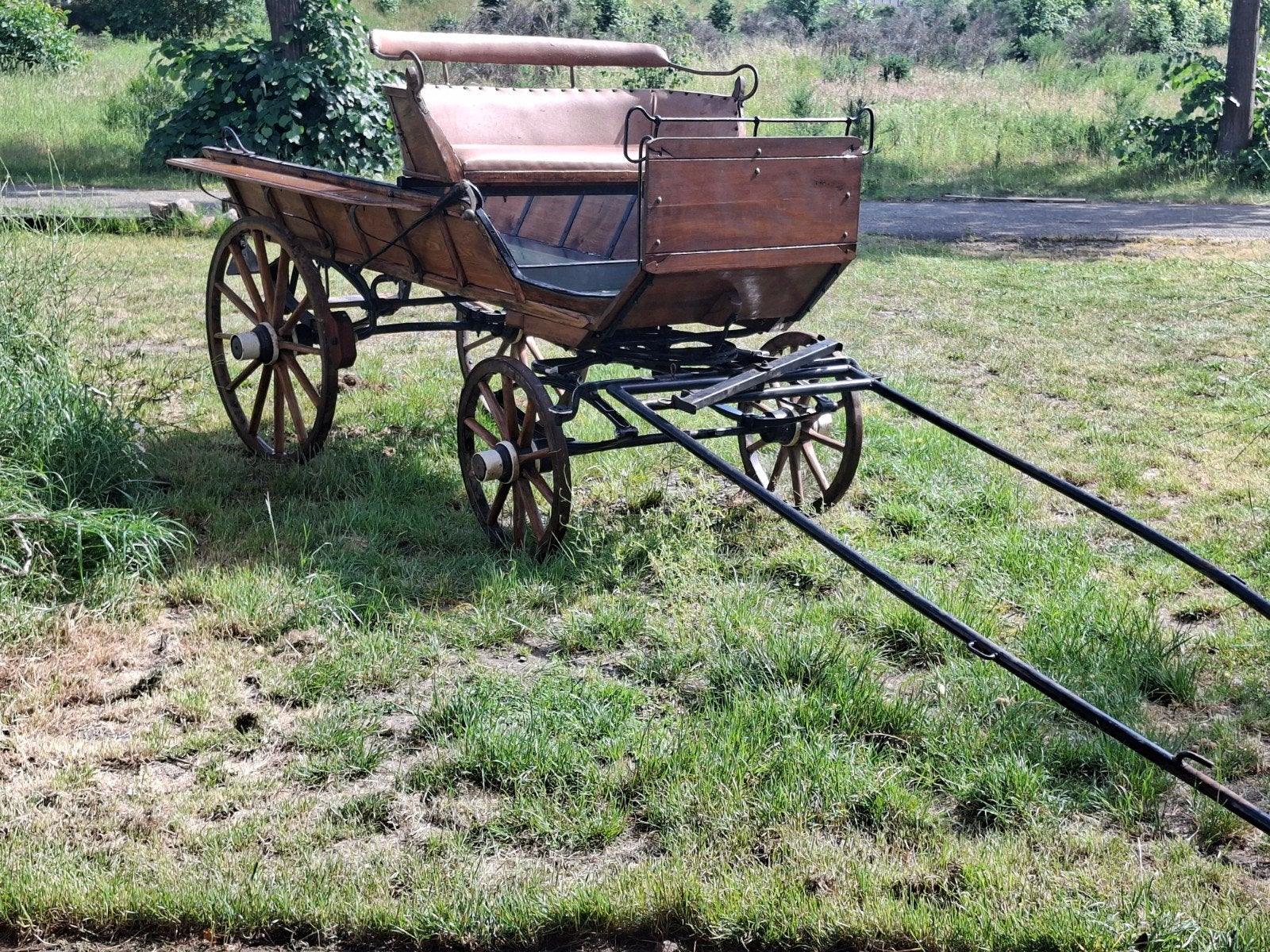 Antieke Koets, Dieren en Toebehoren