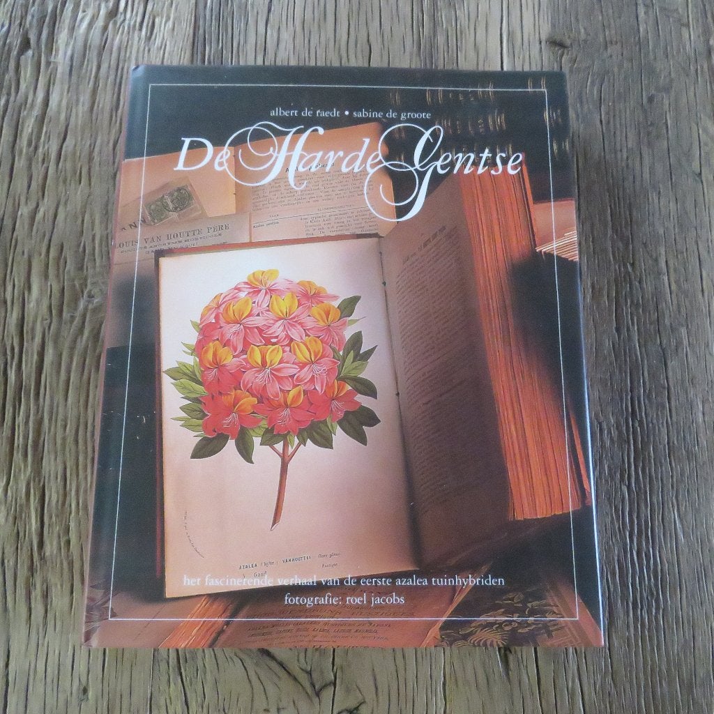 De Harde Gentse Albert de Raedt Sabine de groote, Boeken, Ophalen of Verzenden